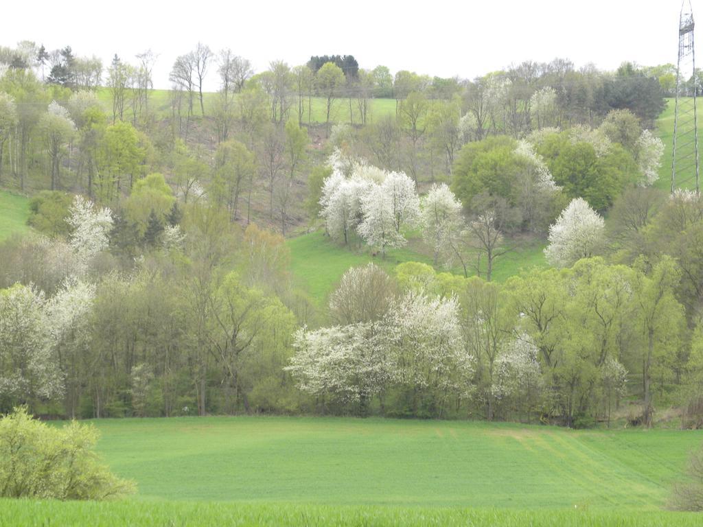 Thueringer Hof Hotel Richelsdorf Bagian luar foto